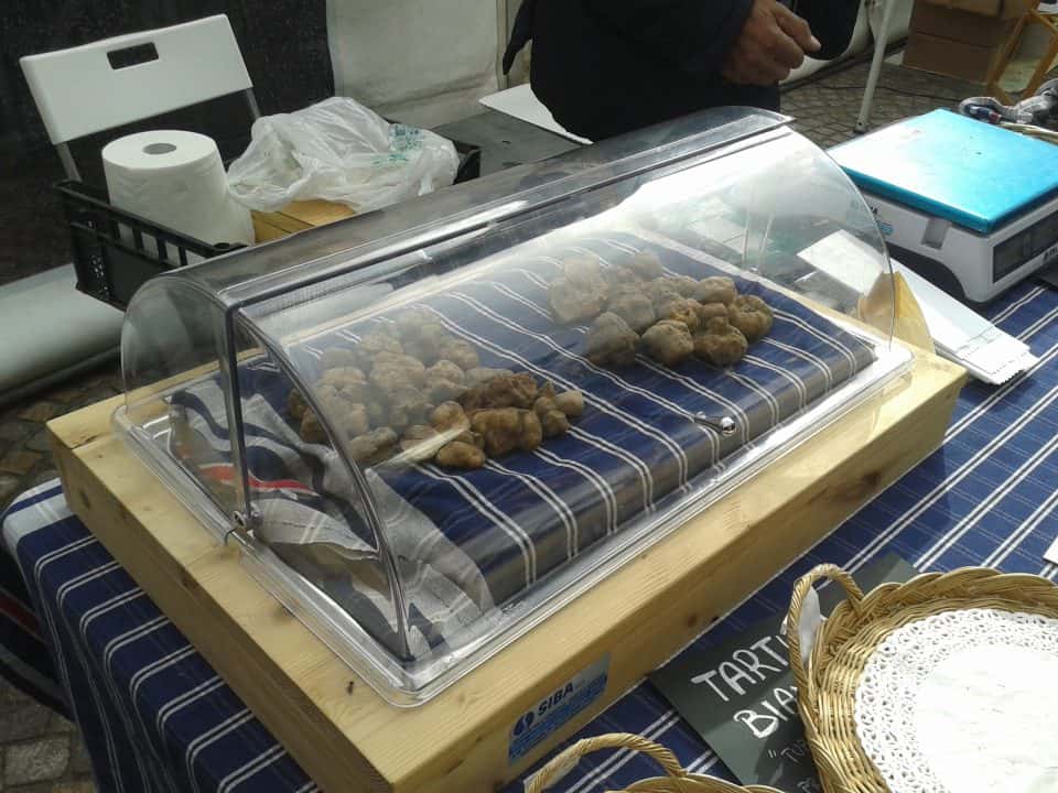 fiera tartufi