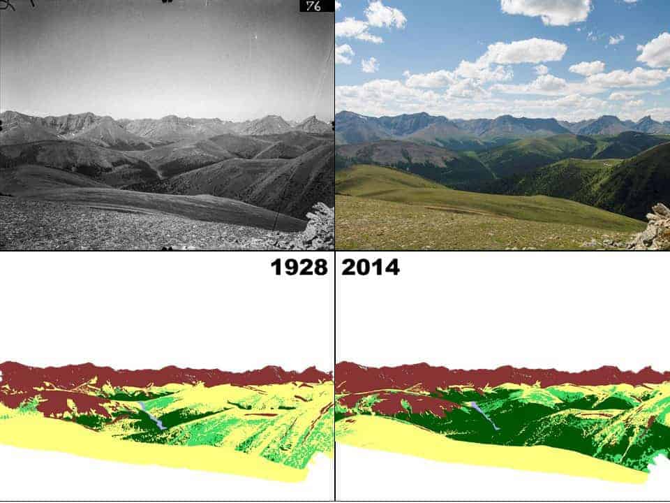 The photography on the left was taken in 1928 by William Henry Miller and the photograph on the right was taken by the Mountain Legacy Project in 2014, allowing for a comparison mapping of landscape changes. Source: Different viewpoints, same landscape: do land-based photos and Landsat imagery paint the same picture? Fortin, J. 2018.