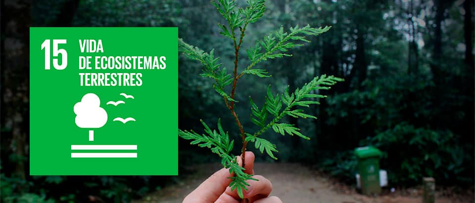 Objetivos_2030-15, Vida de ecosistemas terrestres