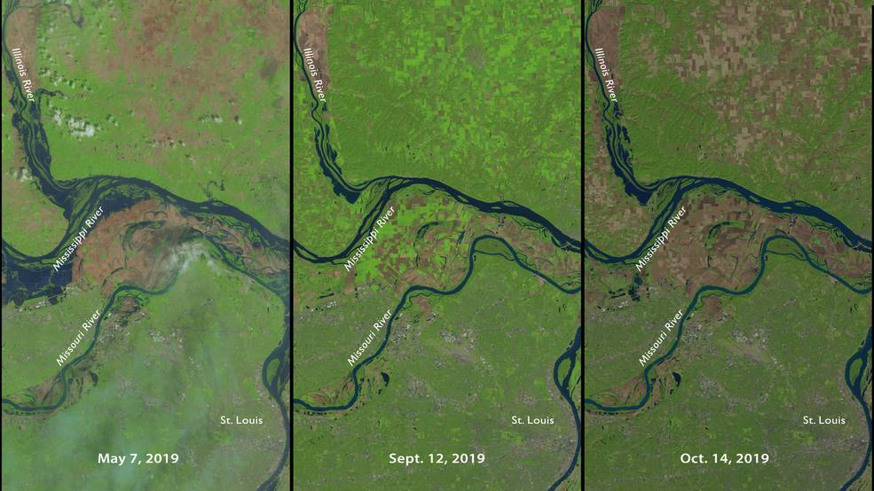 Three moments in a tumultuous year for farming north of St. Louis, MO, as seen in NASA-USGS Landsat 8 data. On the left is May 7, 2019, as heavy rains delayed planting for many farms. Sept 12, 2019, in the middle, shows bright green signifying growing vegetation, although with a fair amount of brown, bare fields. On the right, Oct. 14, 2019, the light brown indicates harvested fields while darker brown are fields that have not been seeded or fallow all summer. Credits: NASA