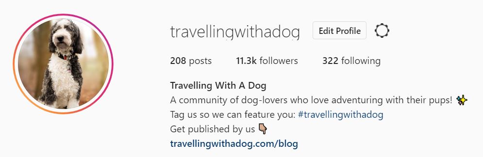 Instagram Bio Ideas With Emojis That Will Help You Grow ...