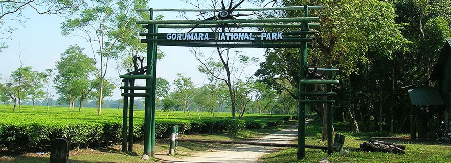 Gorumara Gateway dooars_info