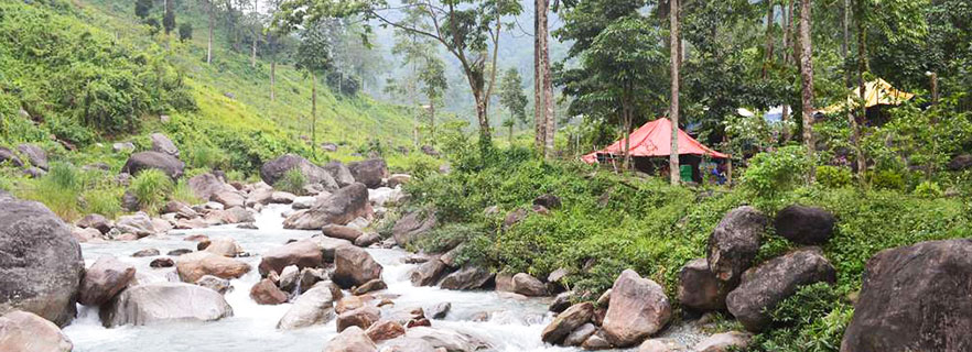Gorumara Gateway dooars_info