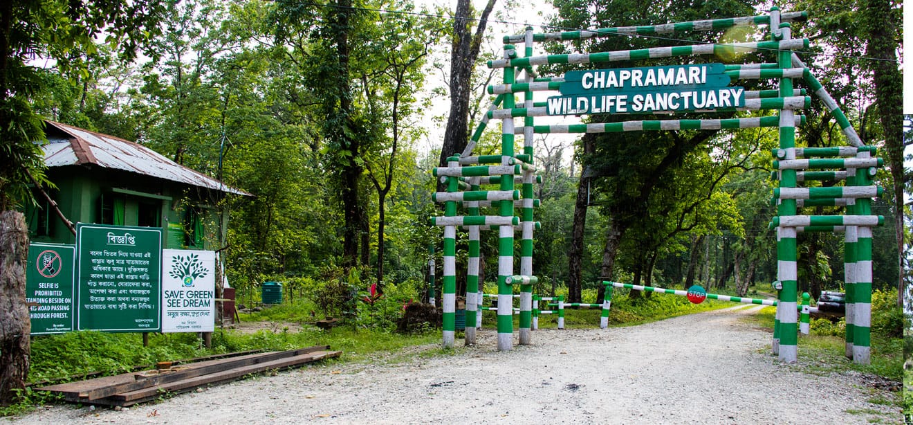 Chapramari Gateway dooars_info
