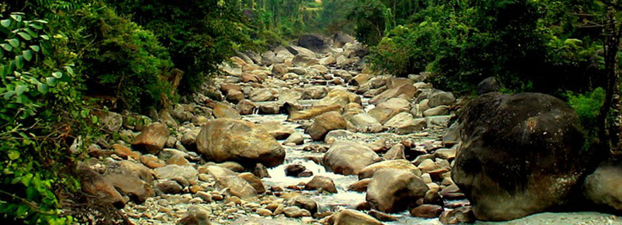 Gorumara Gateway dooars_info