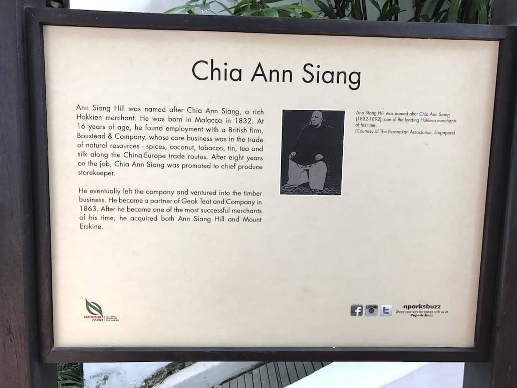 ann siang hill founder