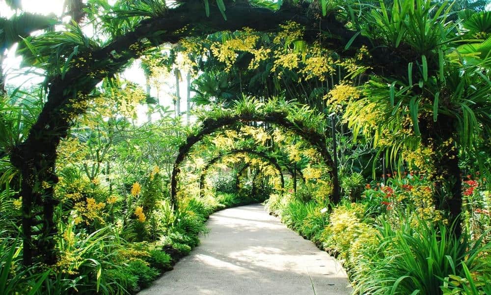 garden walk for elderly singapore