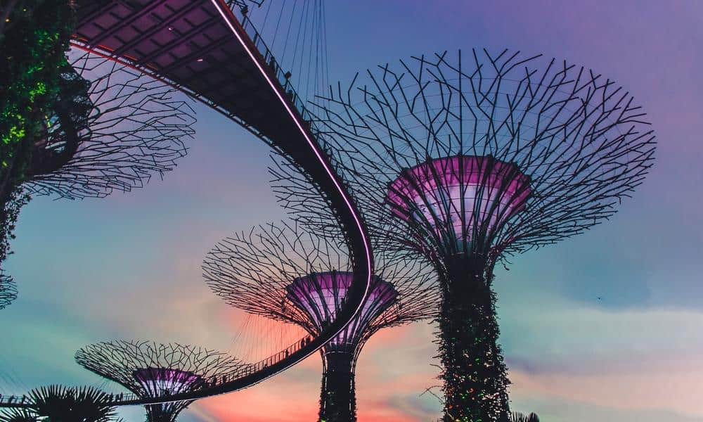 where to bring elderly singapore