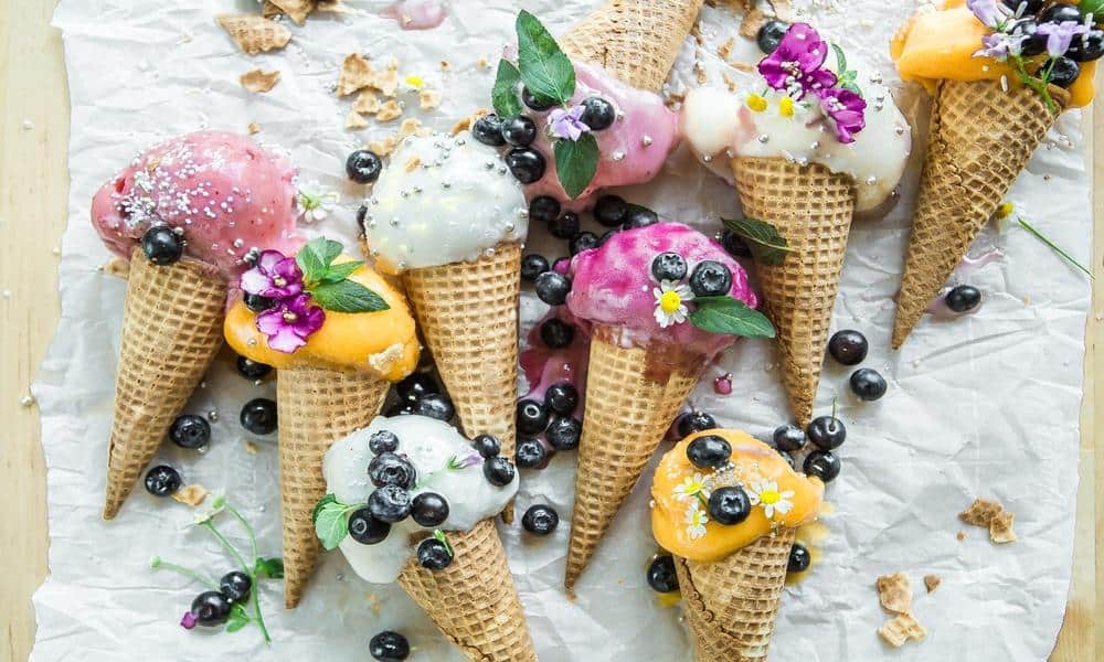 ice cream for vegan