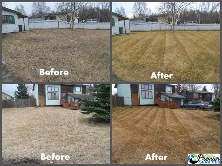 Anchorage Lawn Spring Clean Up Anchorage Spring Clean up Service.