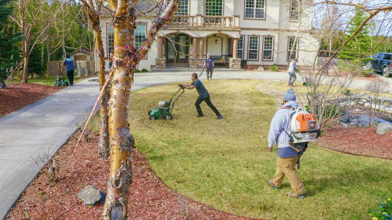 Anchorage Lawn Spring Clean Up Anchorage Dethatching and Spring Clean Up Services