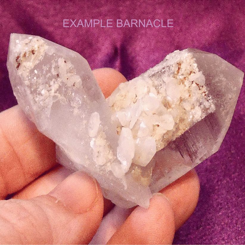 Barnacle Quartz Crystal