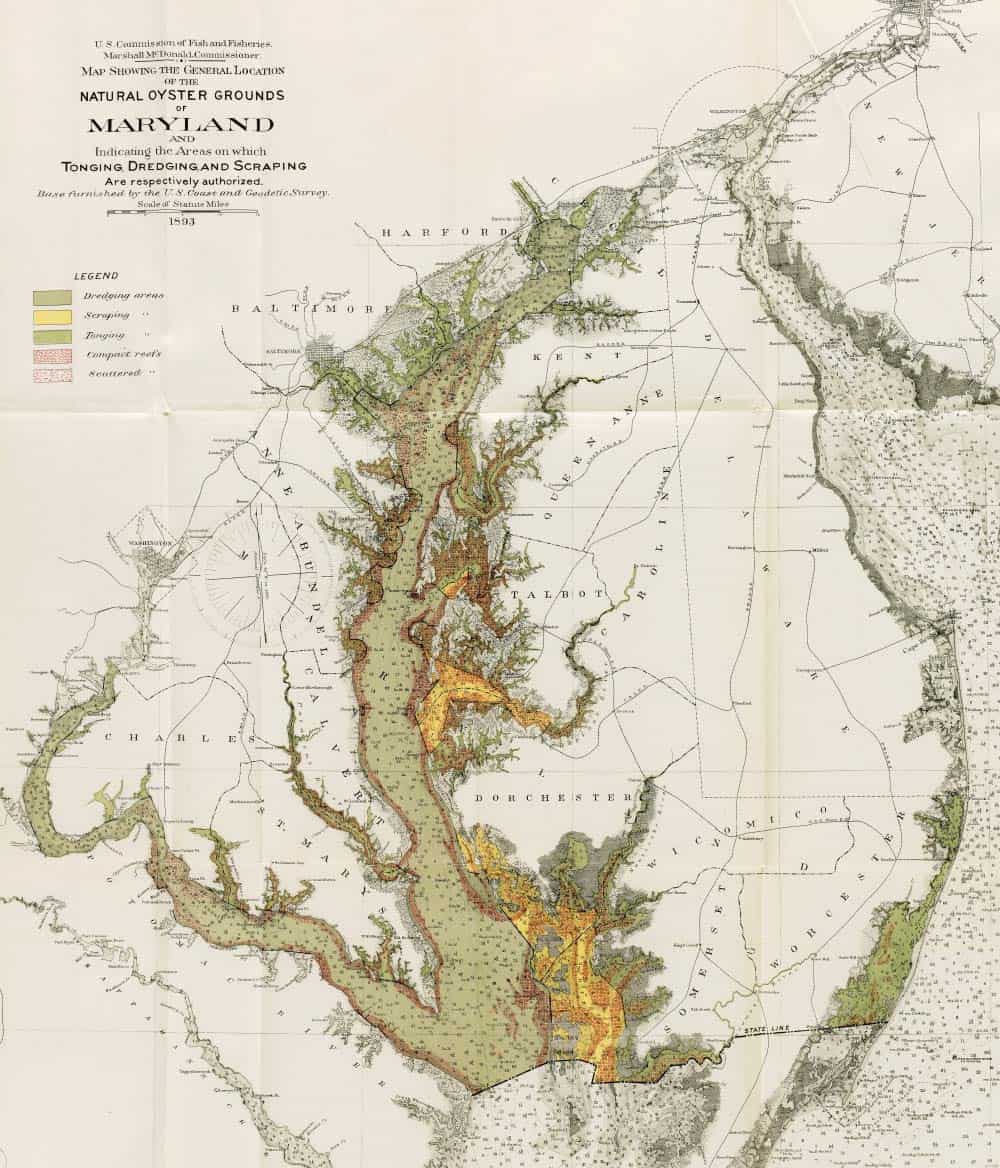 A chart of Maryland’s oyster bars from 1893. - NOAA Central Library