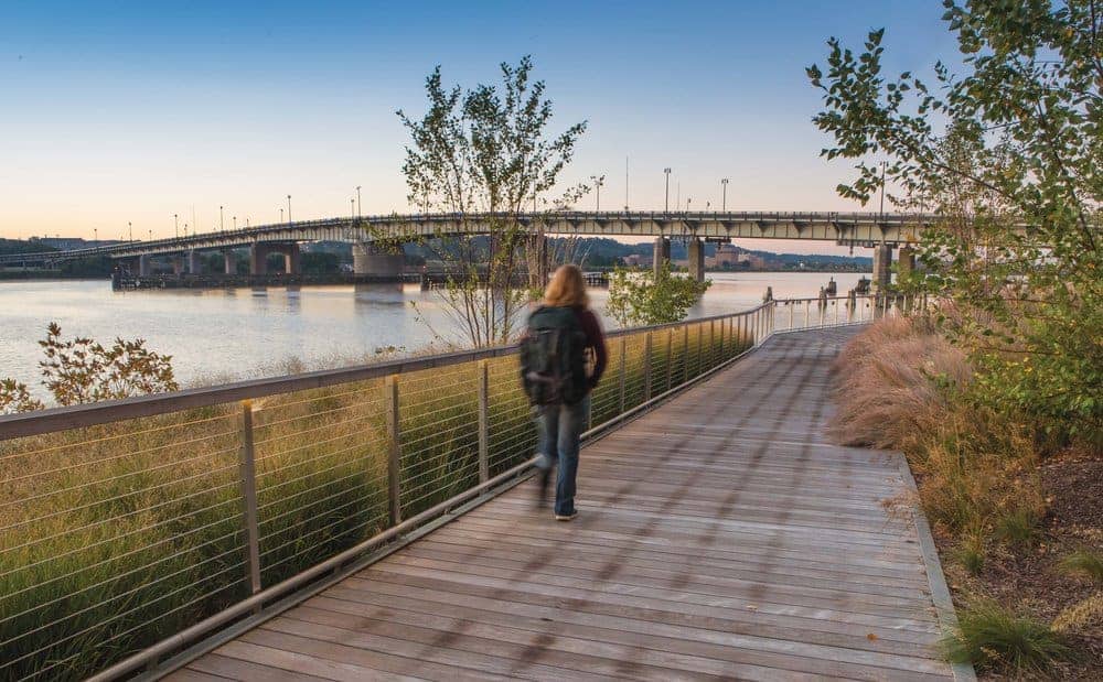 Walkway along the Anacostia River, Washington D.C. P hoto by Krista Schlyer