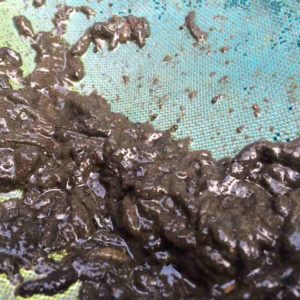 What If... I Never had my Cistern Cleaned? sludge inside cistern