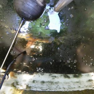 What If... I Never had my Cistern Cleaned? White Poly cistern before cleaning
