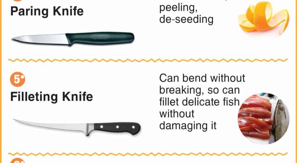 Which Kitchen Knife Infographic Which Kitchen Knife?