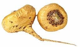Lepidium meyenii