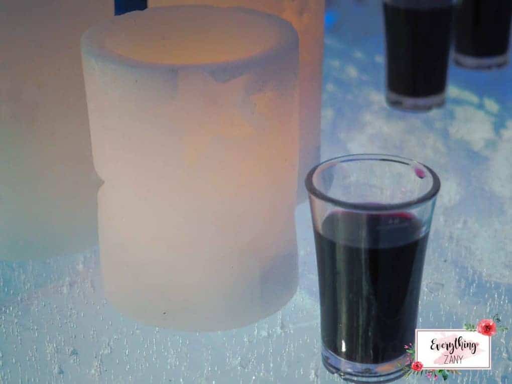 Our welcome drinks! Crowberry juice, a local fruit that can only be found on the Arctic region Inside the Ice bar