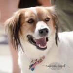 amanda.engel.photography-11 square (1)