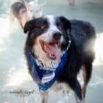 amanda.engel.photography-3 square (1)