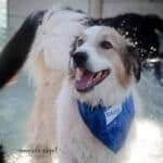 amanda.engel.photography-4 square (1)