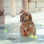 amanda.engel.photography-8 square (1)