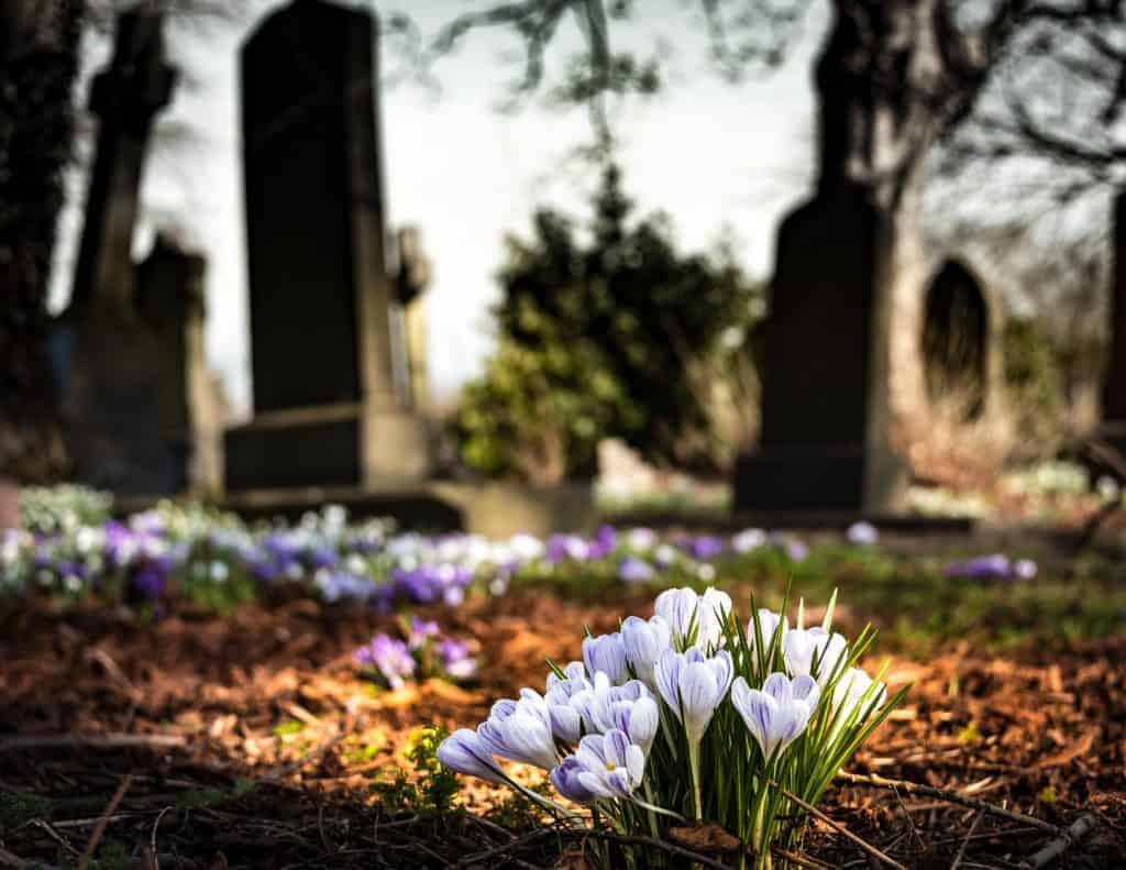 Bereavement at Work: How to Help an Employee When Tragedy Occurs 1 bereavement at work cemetary