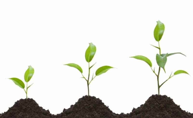 mindfulness at work will help you and your team grow