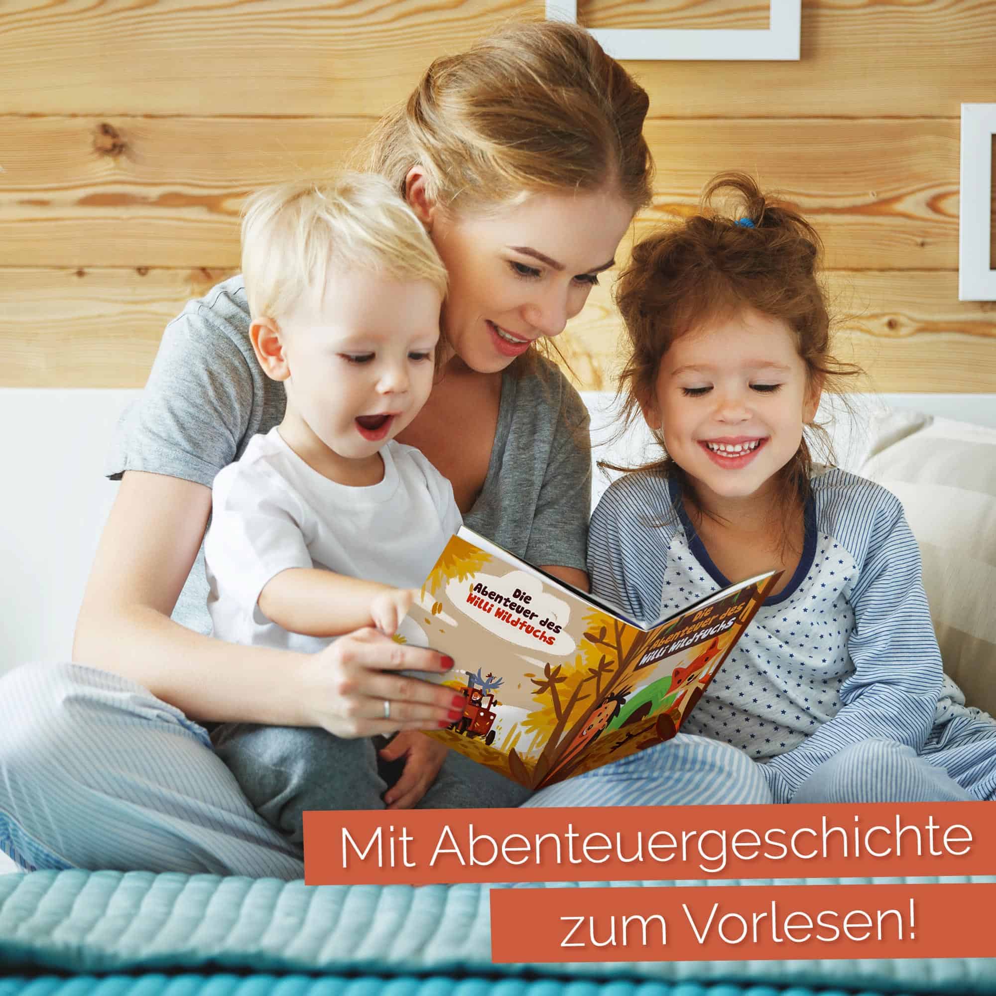 Abenteuergeschichte Willi Wildfuchs