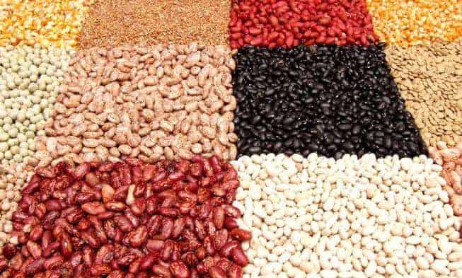 pois, lentilles, pois chiches, petits pois