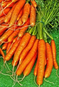 Carottes