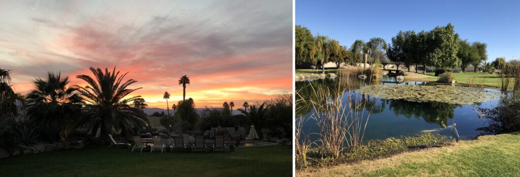 Images of Palm Springs: a sunset, and a pond.