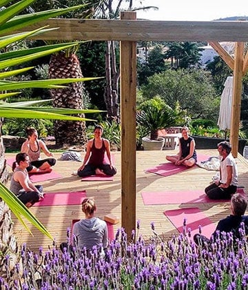 Surf & Yoga