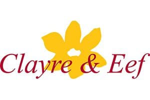 cae_logo