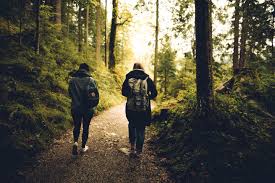 Walking may free up the brain's attention span, allowing more imaginative thought to take place.