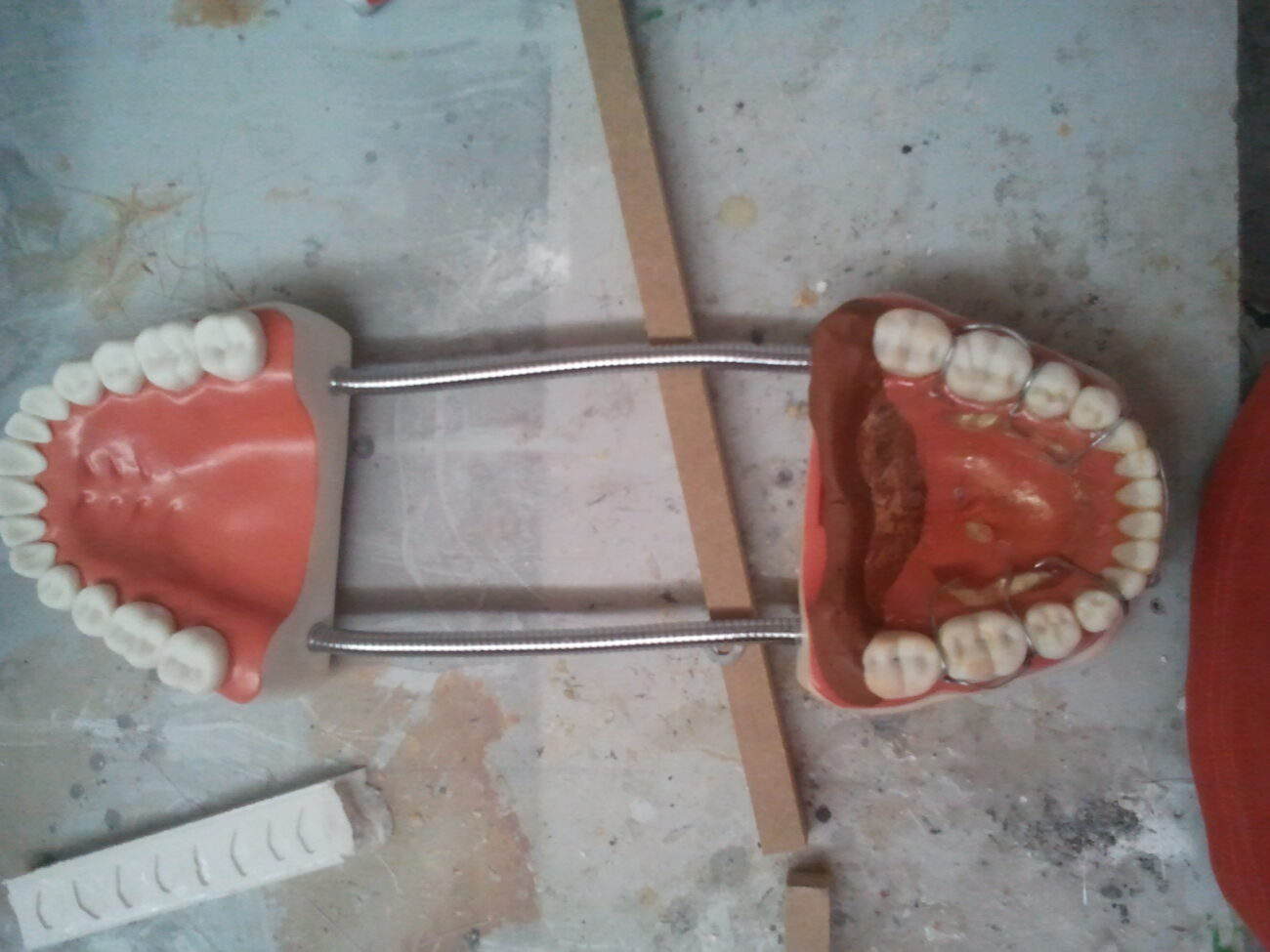 Figuras de resina8 Ficticio dientes en resina