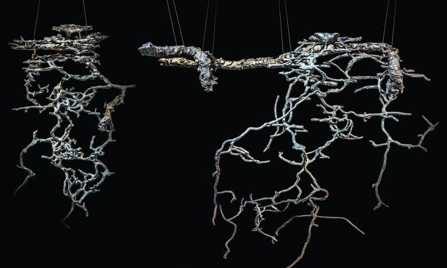 Aluminum casts of two harvester ant nests in North Carolina. (images modified from Adrian Smith)