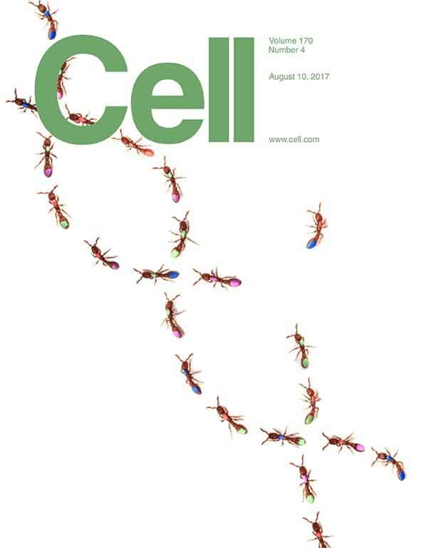 Cell_cover