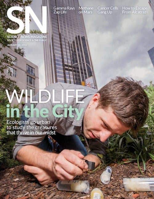 ScienceNews copy