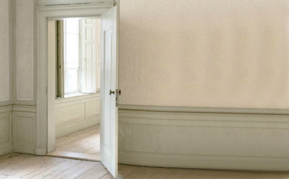 How to Naturally Fix a Squeaky Door The Pistachio Project