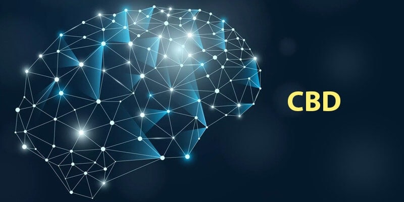 CBD for Memory