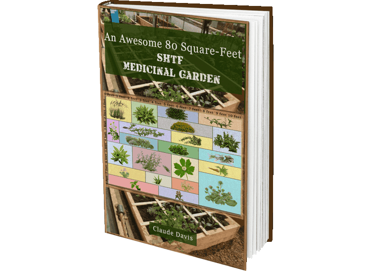 The 72 Square-Feet Medicinal Garden