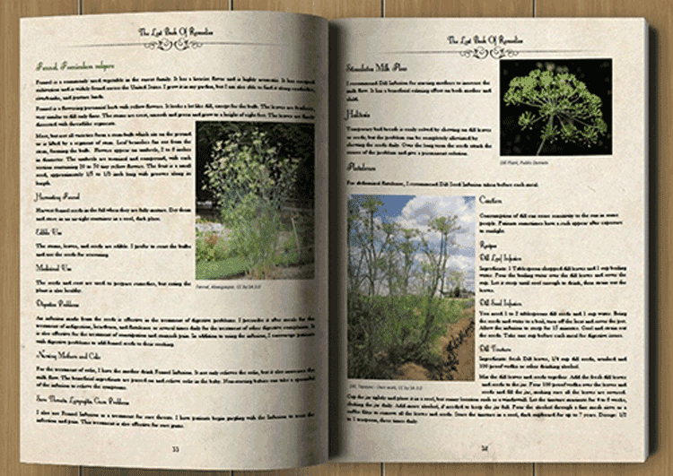 The-Lost-Book-Of-Remedies-Content