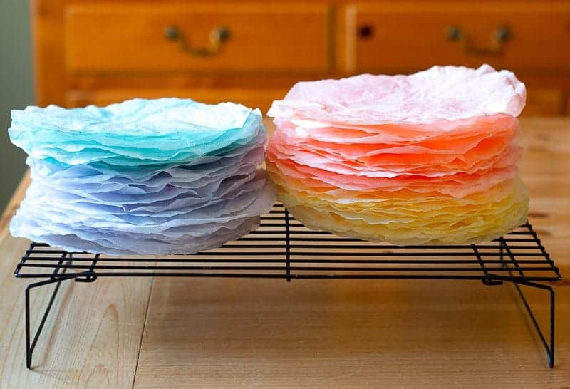 HowTo Dye Coffee Filters with Food Coloring The HowTo Home