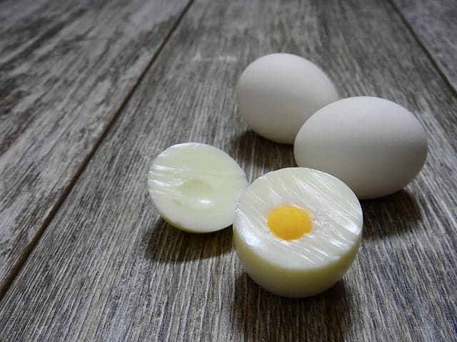 Eier