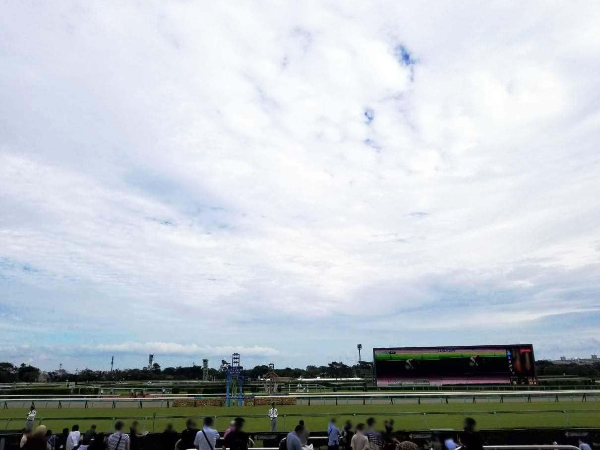 中山競馬場のターフビジョンとコース