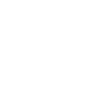 Security badge with checkmark inside