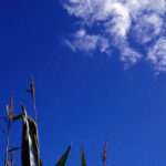 Der Sonne hinterher...