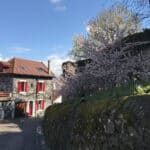 Einmal französisches Savoir-vivre, bitte